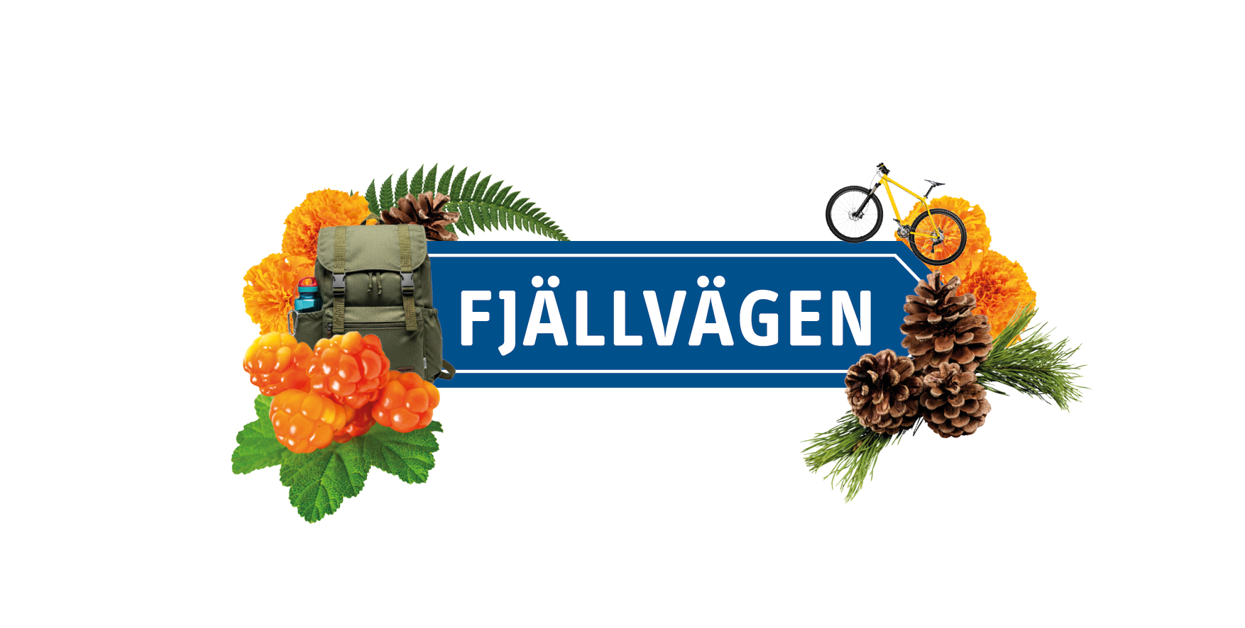Text p&aring; bild