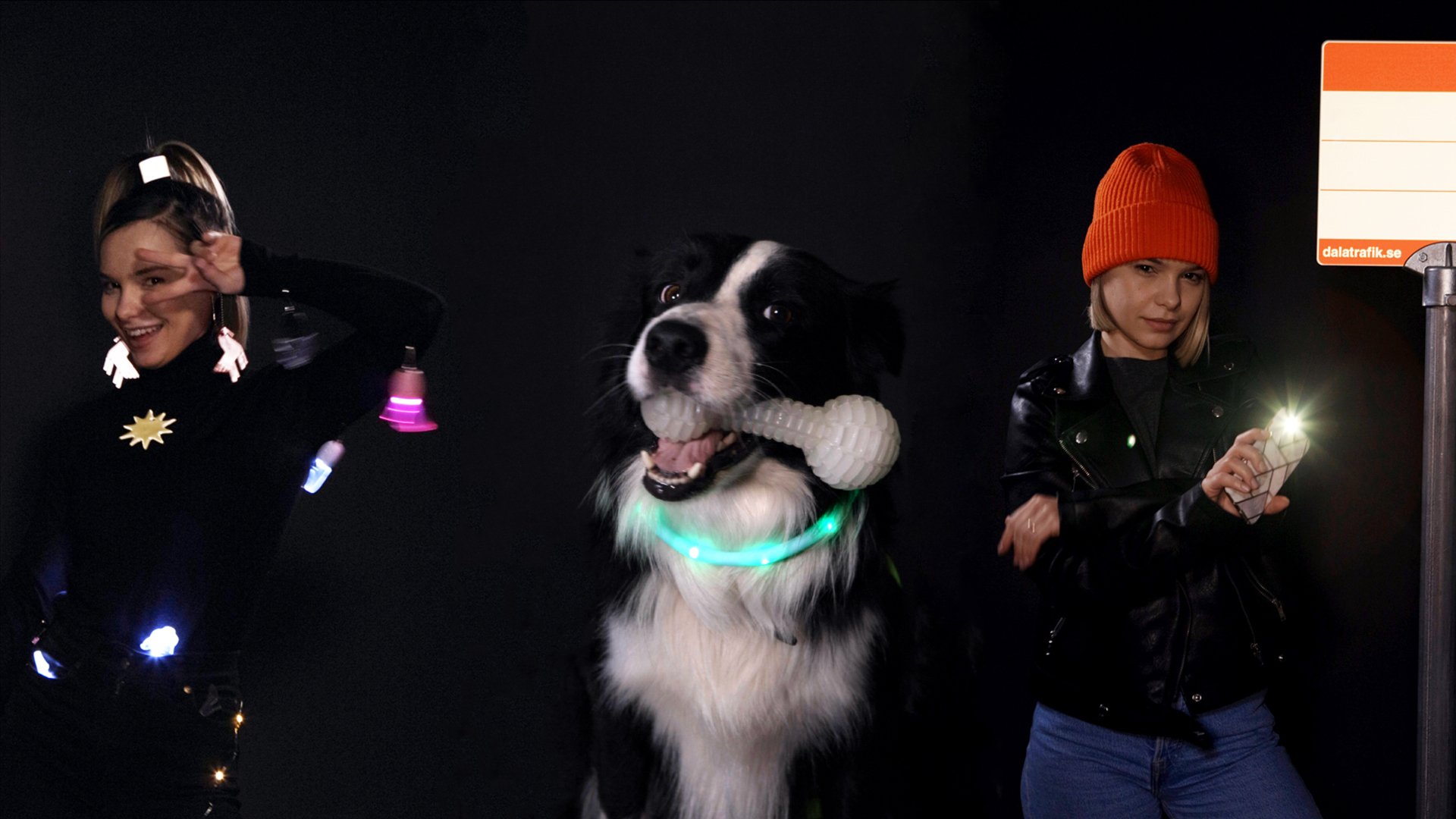 Bild på flicka och hund med reflexer